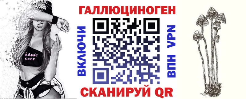 Купить закладки  Ветлуга  Псилоцибиновые грибы Psilocybe 