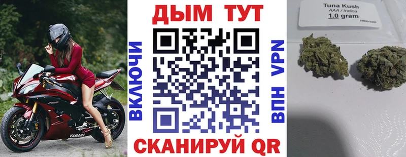 Бошки Шишки марихуана  Купить где  Ветлуга 